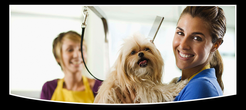 Banho para Cachorro em Água Rasa - Banho para Cães