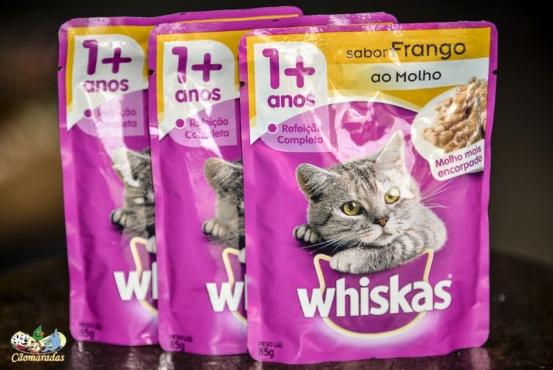 Ração para Gato Filhote no Itaim Paulista - Comprar Ração para Gato