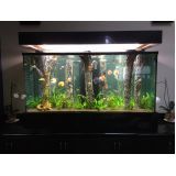 comprar aquário para peixe em SP na Casa Verde