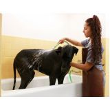 pet shop com promoções preço no Jardim Ângela