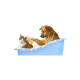 Pet Shop com Promoções