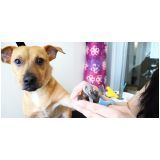 quanto custa pet shop com banho e tosa no Ibirapuera