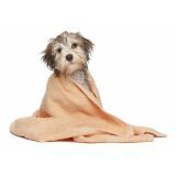 quanto custa serviço de banho para cão em Perdizes