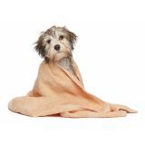 quanto custa serviço de banho para cão na Pedreira